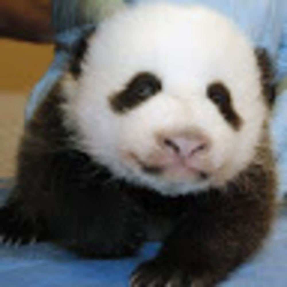 Meet your Posher, Madison